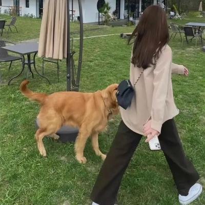 美满结局